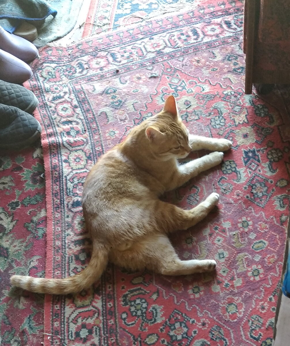 Личное  фото.