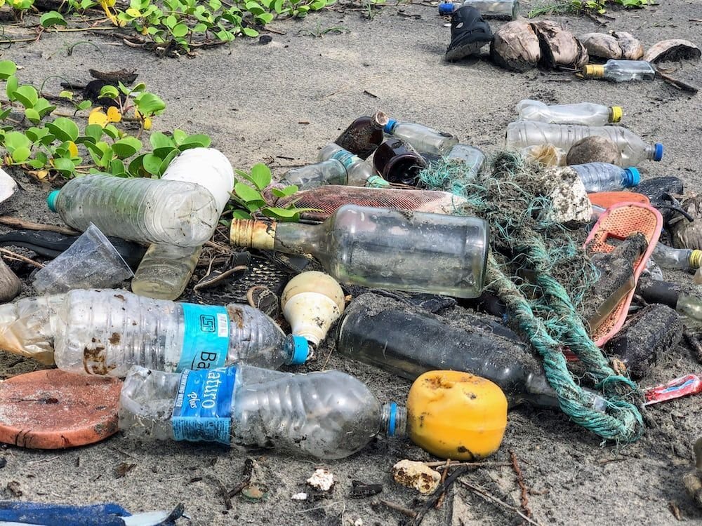 Экопроект года: ученые придумали, как очистить мировой океан от пластика