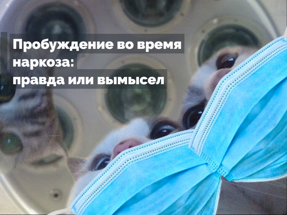 Возможно ли проснуться во время наркоза