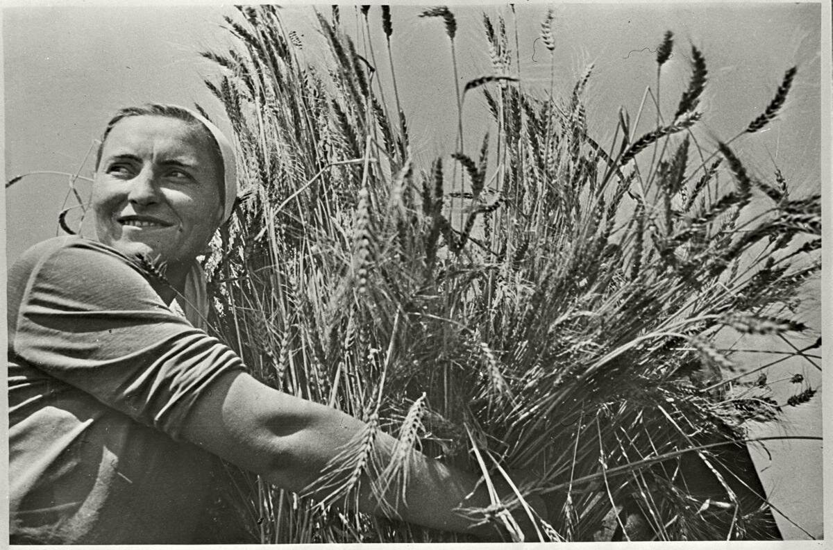  Зачем работать, если можно не работать? В СССР ценили тружеников, а в России умеющих приспособиться к кормушке...-3