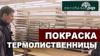 Планкен из термолиственницы: покраска в цехе