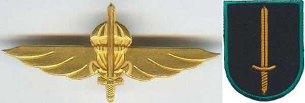Нагрудный знак SSG (слева) и кокарда на берете (справа)