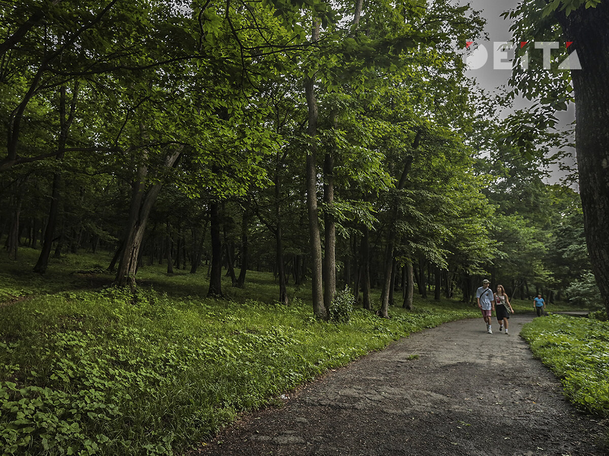 Репортаж парка. Репортаж парка