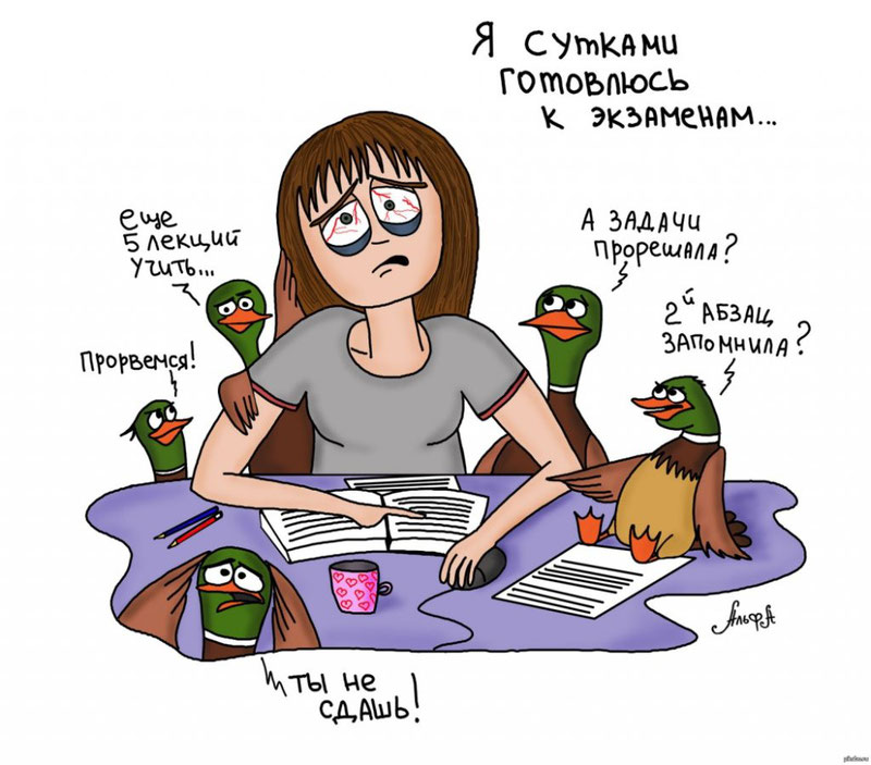 zaochnik.ru
