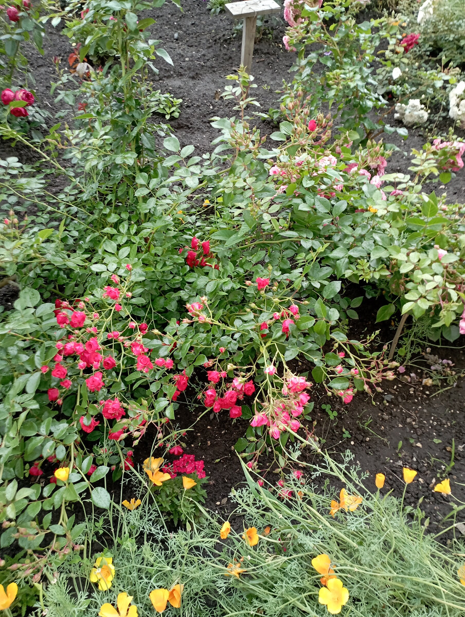 Сила - взнаниях