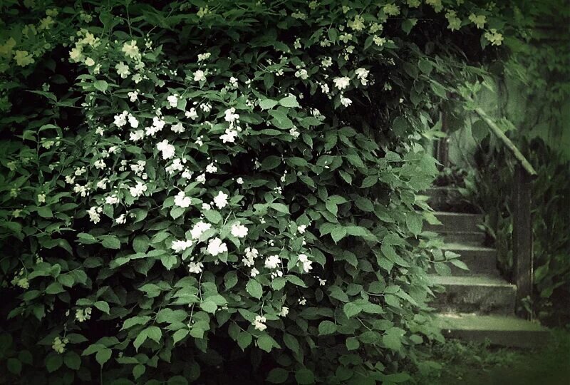 Картинка взята из открытых источников.  Все права на рассказ принадлежат автору. Запрещается копирование, распространение или любое иное использование информации и объектов авторского права без предварительного согласия правообладателя
