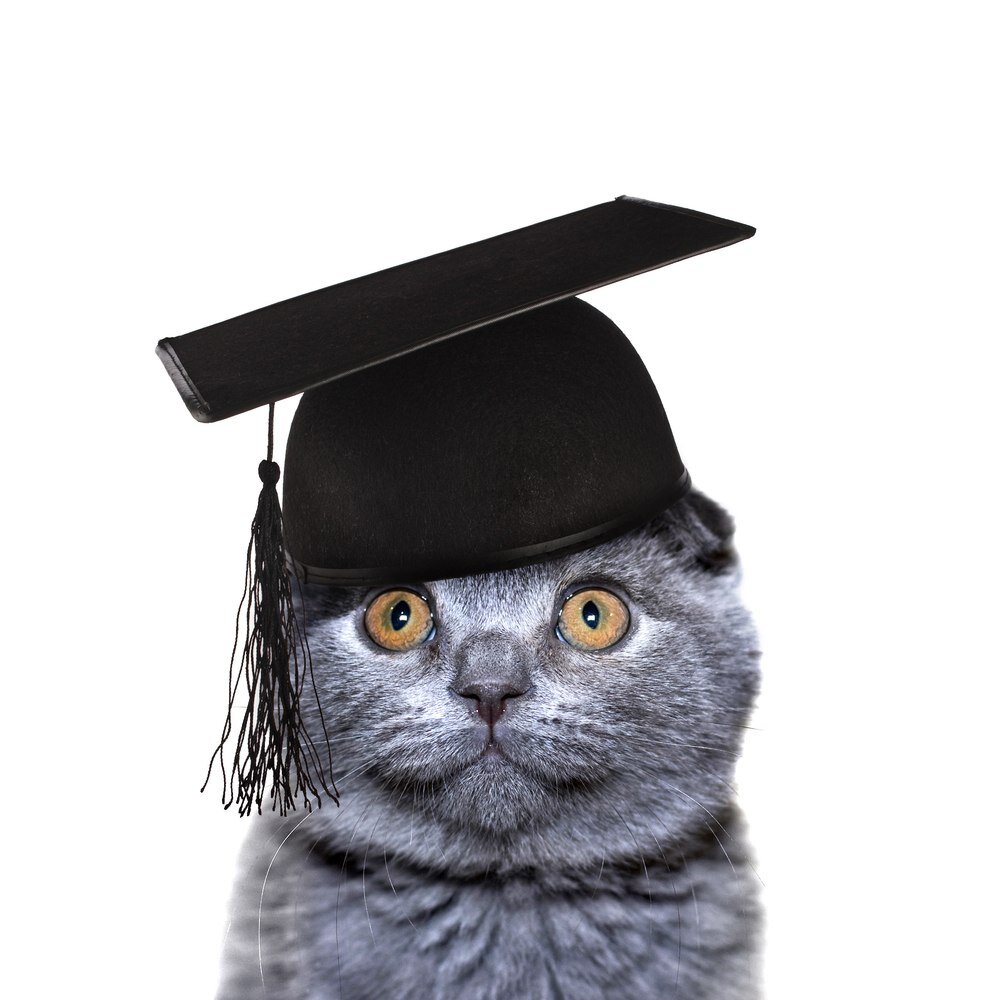 источник Яндекс-картинки)))