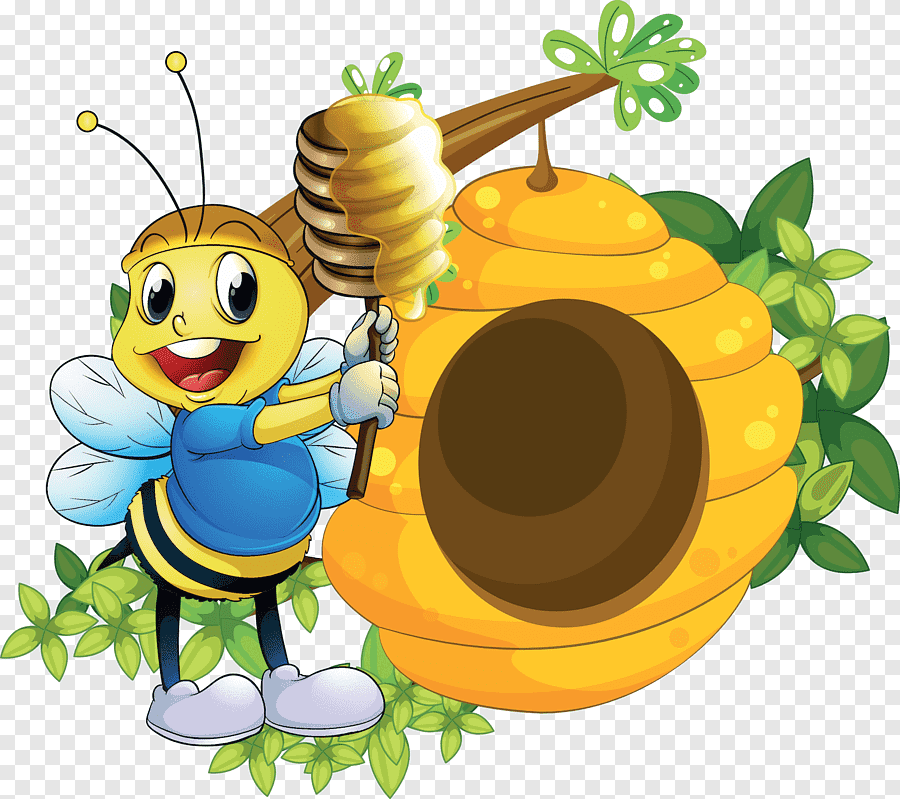 Источник : Яндекс картинки.