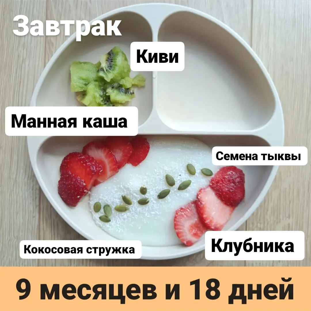 Пример тарелки в 9 месяцев 