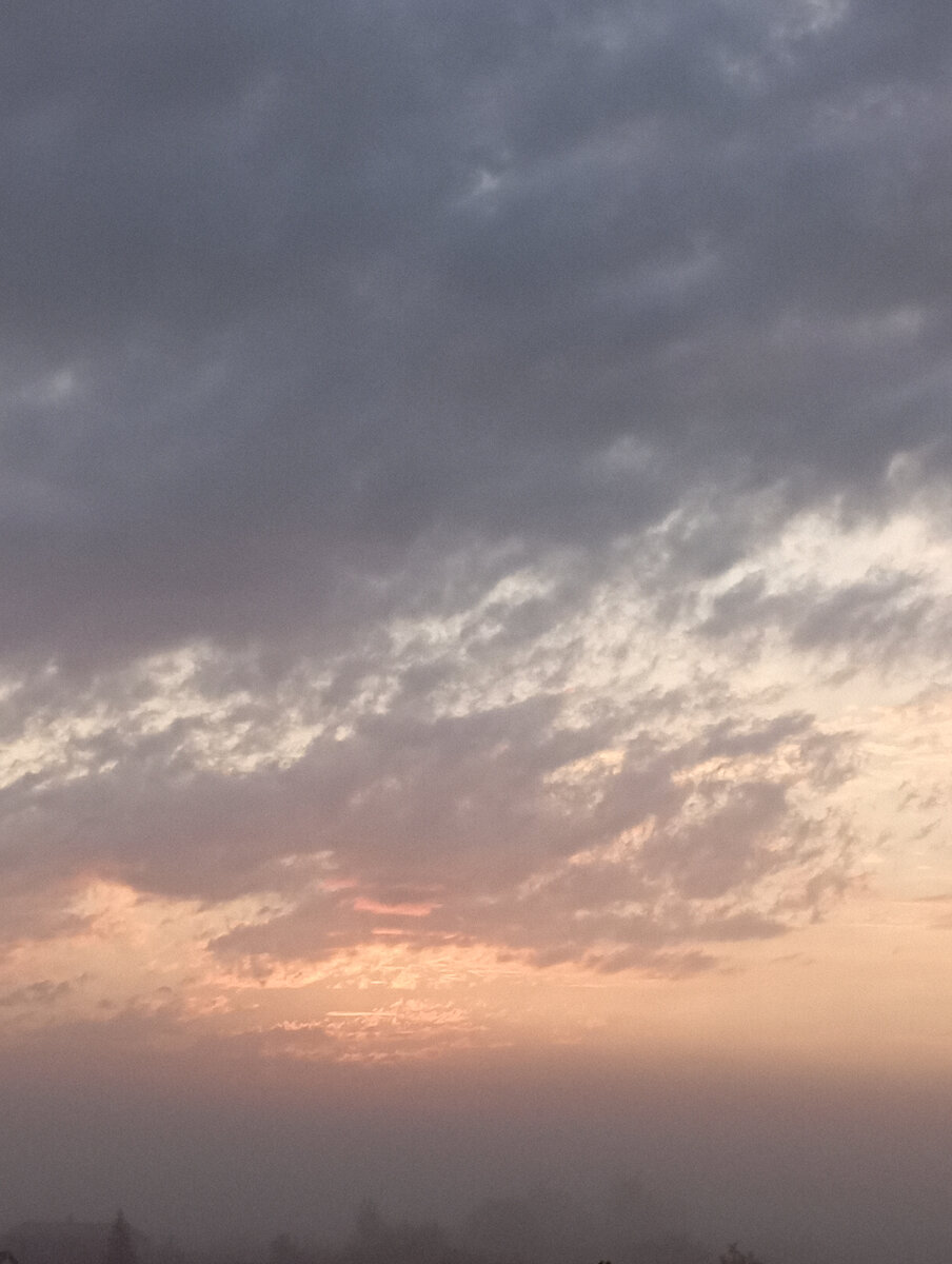 Нестандартное хобби