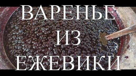 ВКУСНЕЙШЕЕ ВАРЕНЬЕ ИЗ ЕЖЕВИКИ ЗАГОТОВКИ НА ЗИМУ #169