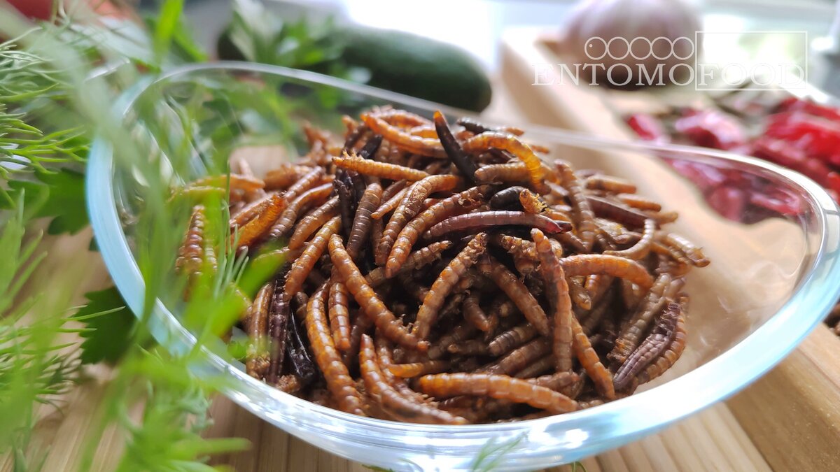 Фото готового блюда «Высушенные в аэрогриле насекомые»
