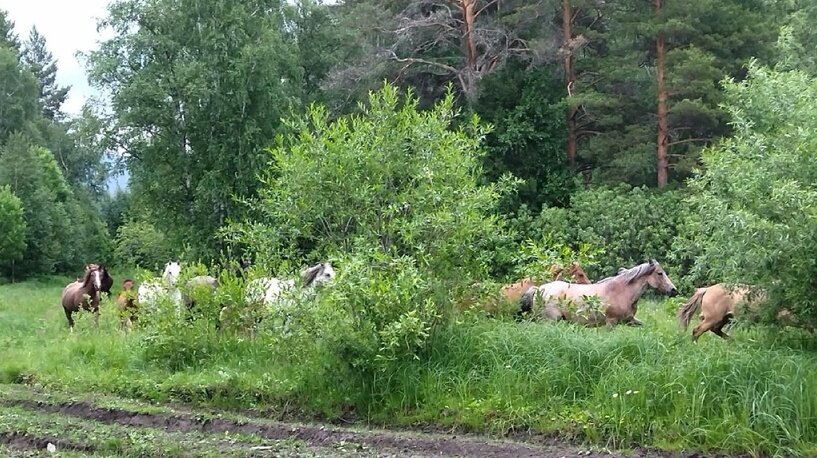 Листайте вправо, чтобы увидеть больше изображений