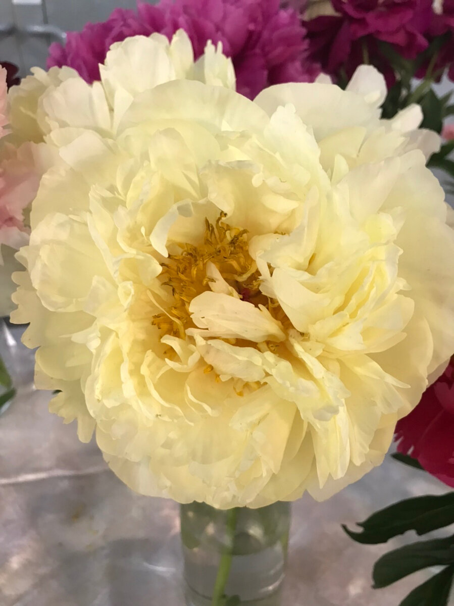 Весна, однако