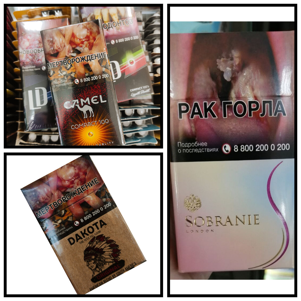 Примеры: Дакота кинг сайз, собрание ss пинк, лд, кемел компакт 100мм