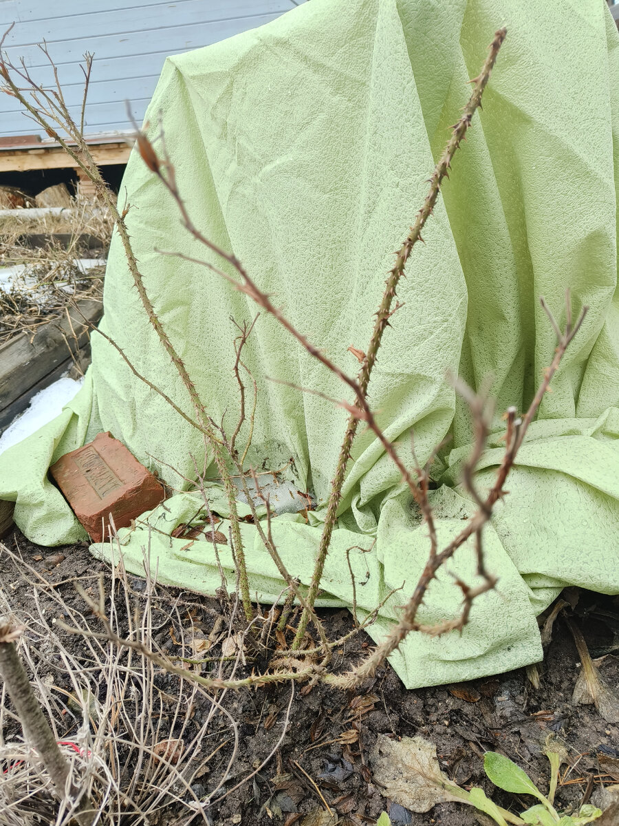 Воздушно сухое