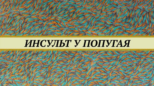 下载视频: У попугая внезапно отнялась одна лапа, попугай не держится на жёрдочке, постоянно падает, не может летать, есть. Инсульт: признаки, причины.