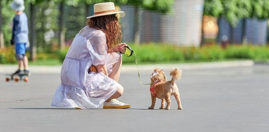      А вы берёте с собой целлофановый пакет на прогулку?