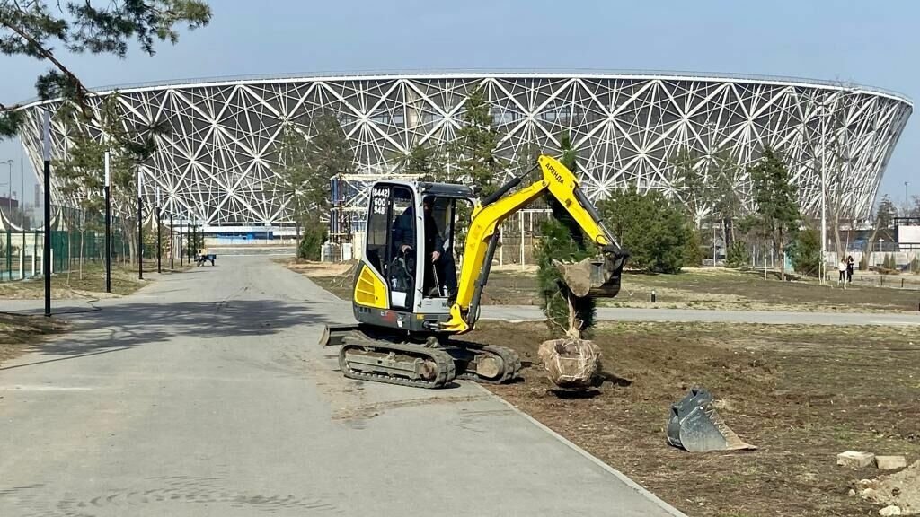     В главном парке Волгограда стартовала весенняя высадка зеленых насаждений. Всего в ближайшие два месяца в ЦПКиО планируют высадить порядка 200 крупномерных деревьев.