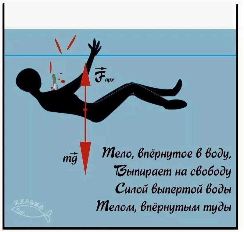 Силы на теле в воде. Закон Архимеда тело впернутое в воду. Тело впернутое в воду. Сила выпертой воды тела впертого туды. Закон Архимеда тело впернутое в воду выпирает на свободу.