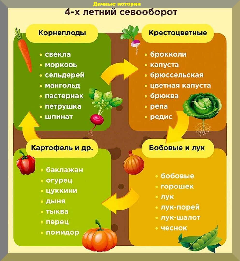 План работы садоводов и огородников