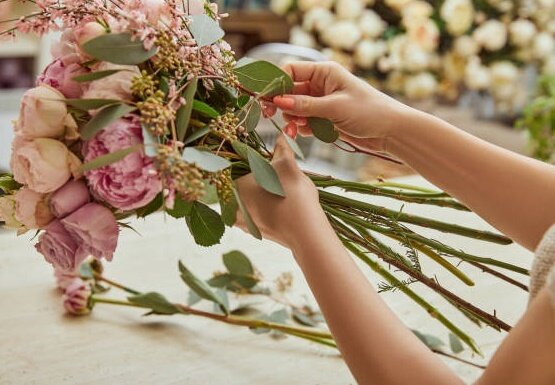 фото из открытых источников в интернете. 