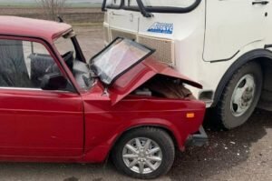    Фото: ГУ МВД по Воронежской области Наталья Анисеева