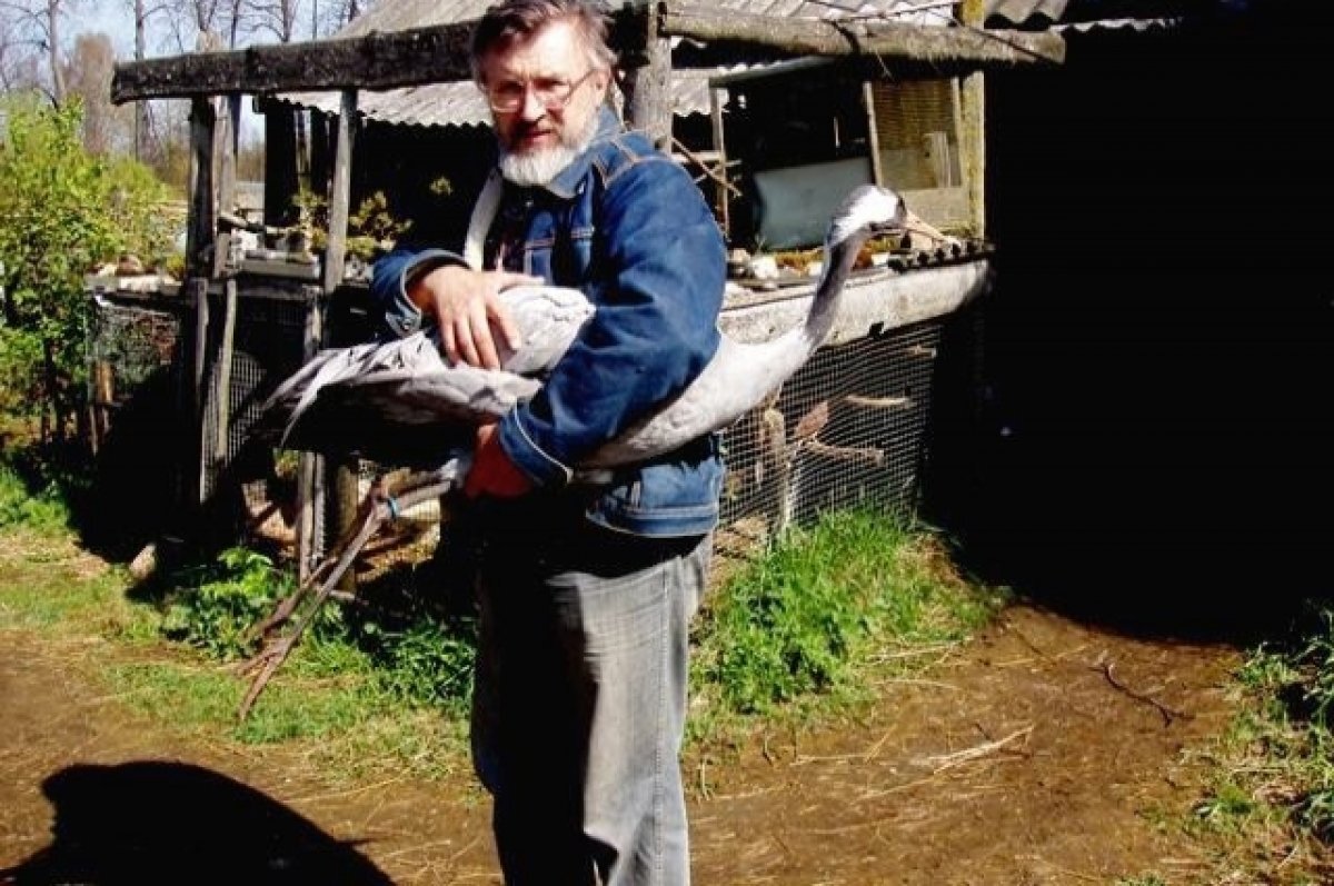    Журавль 15-й год подряд возвращается к «родителям» в Тверскую область