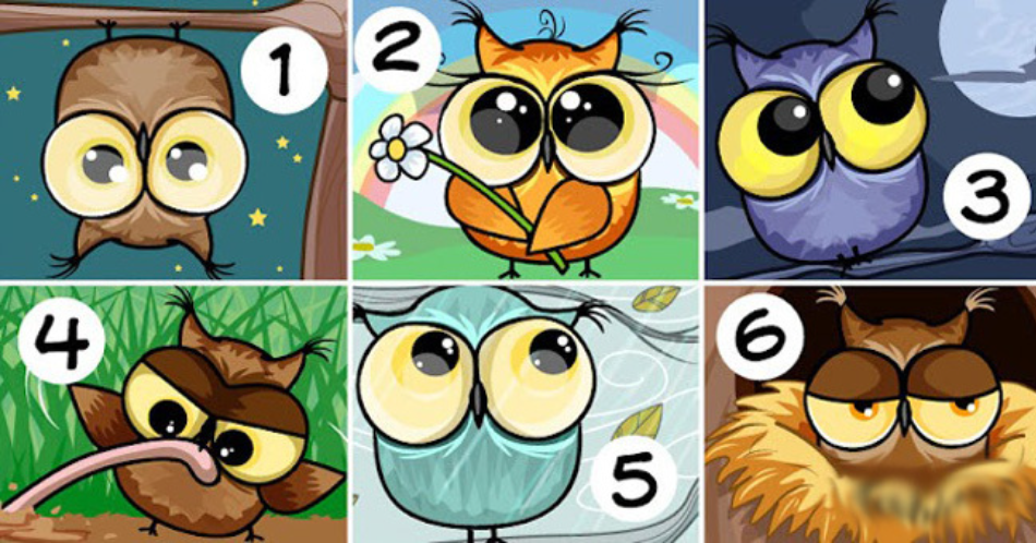 Фото из открытого источника