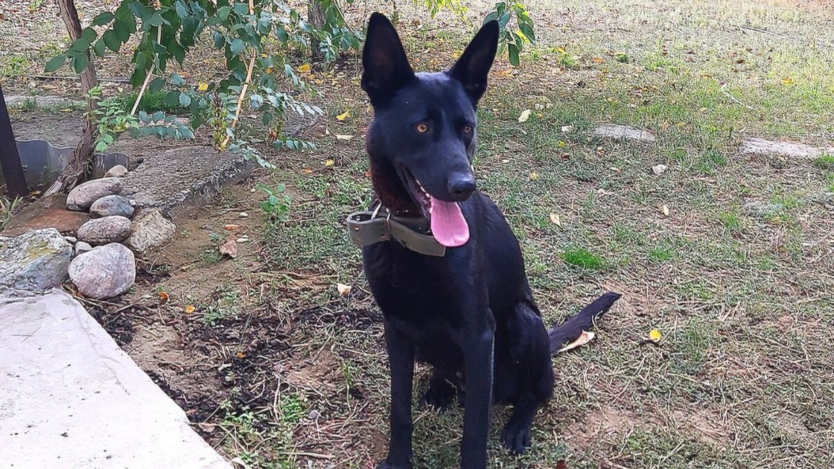 Это наш Гром