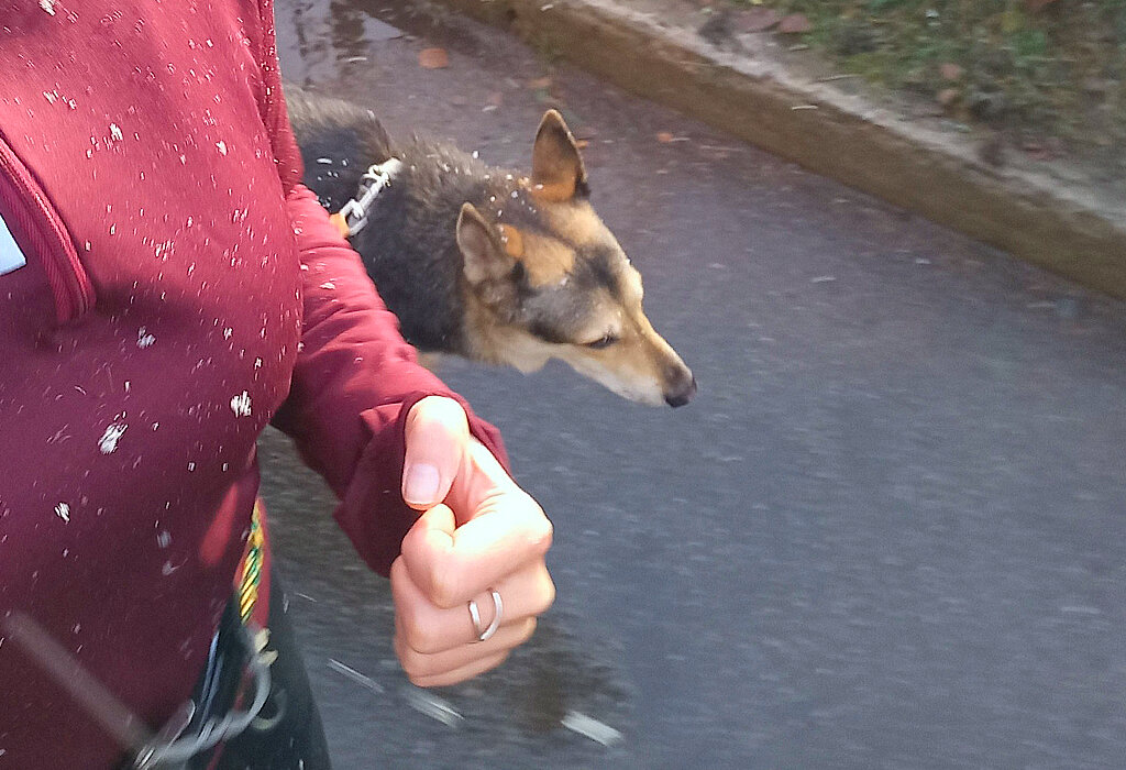 Фото двухдневной давности, сегодня сел смартфон