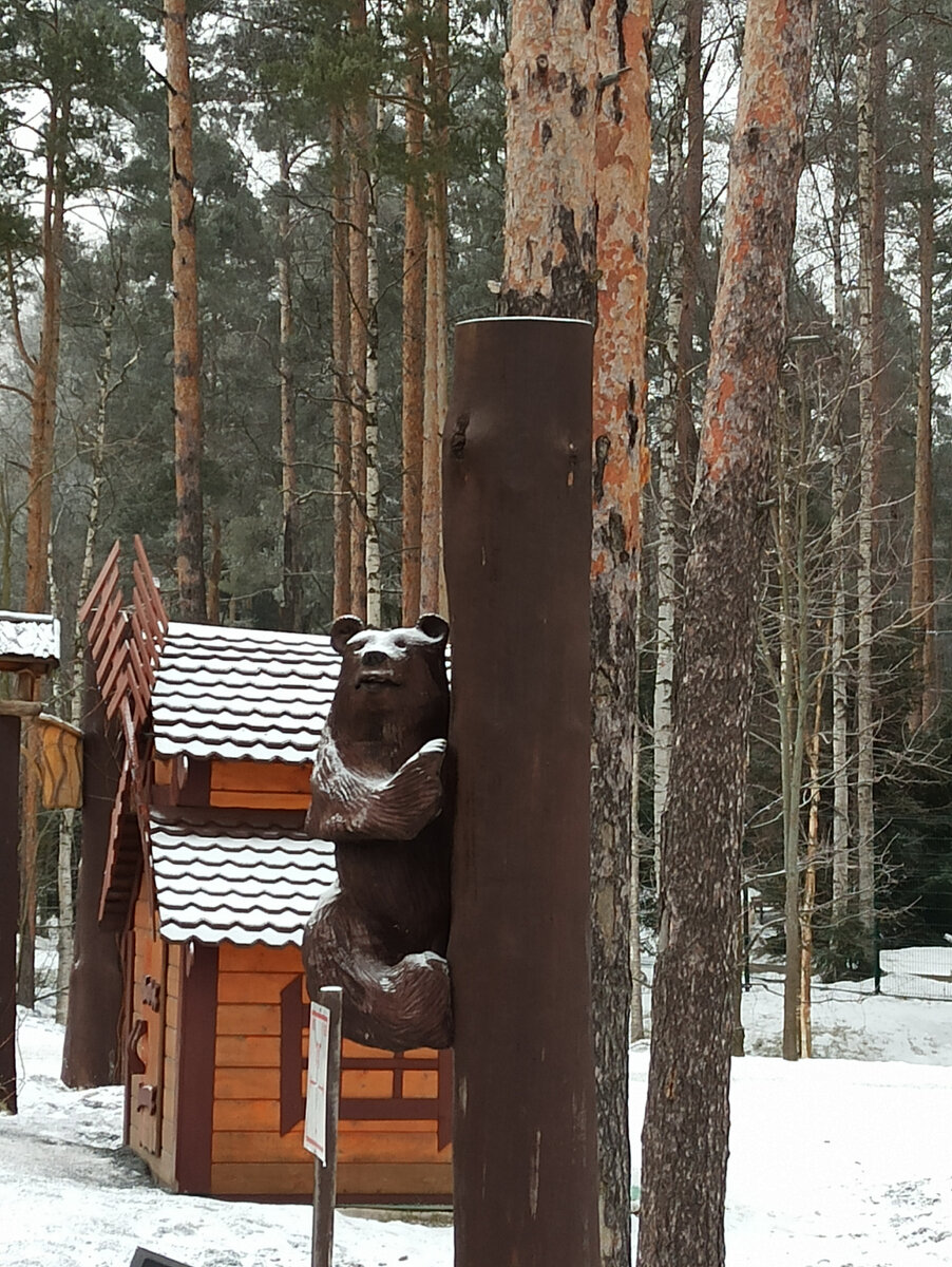 охта парк комплекс бассейнов