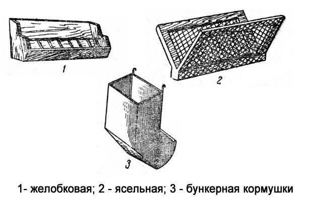 Сделай сам кормушку для птиц