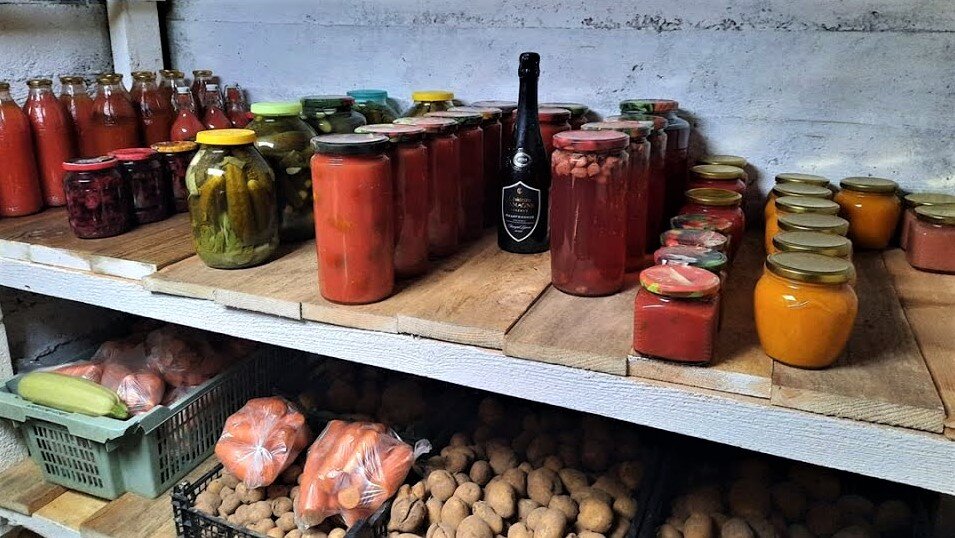 Фото: Яндекс - картинки