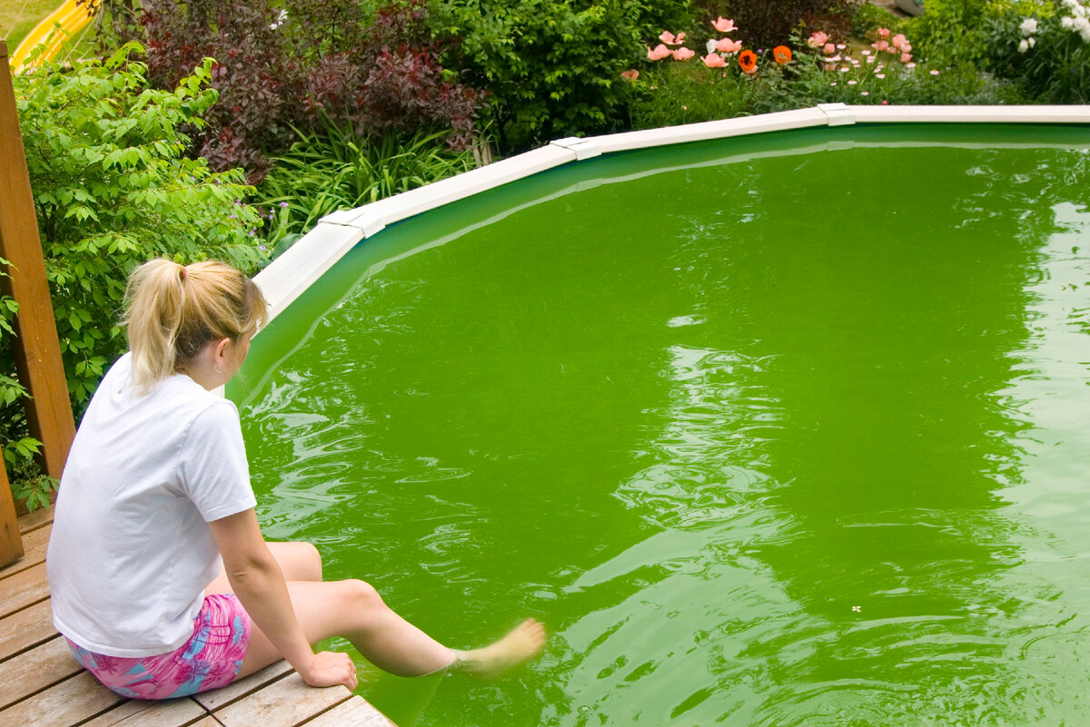 Цветет вода что делать. Зеленый бассейн. Зеленая вода в бассейне. Грязный бассейн. Водоросли в бассейне.