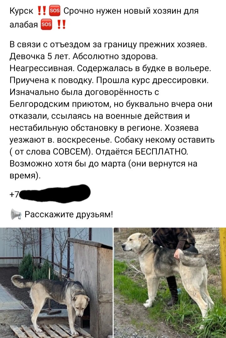 Фото сделано задолго до пристройства