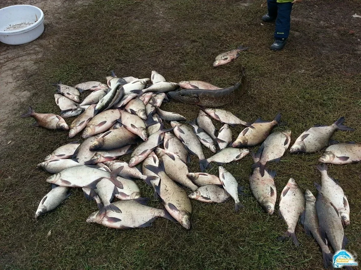 После рыбалки