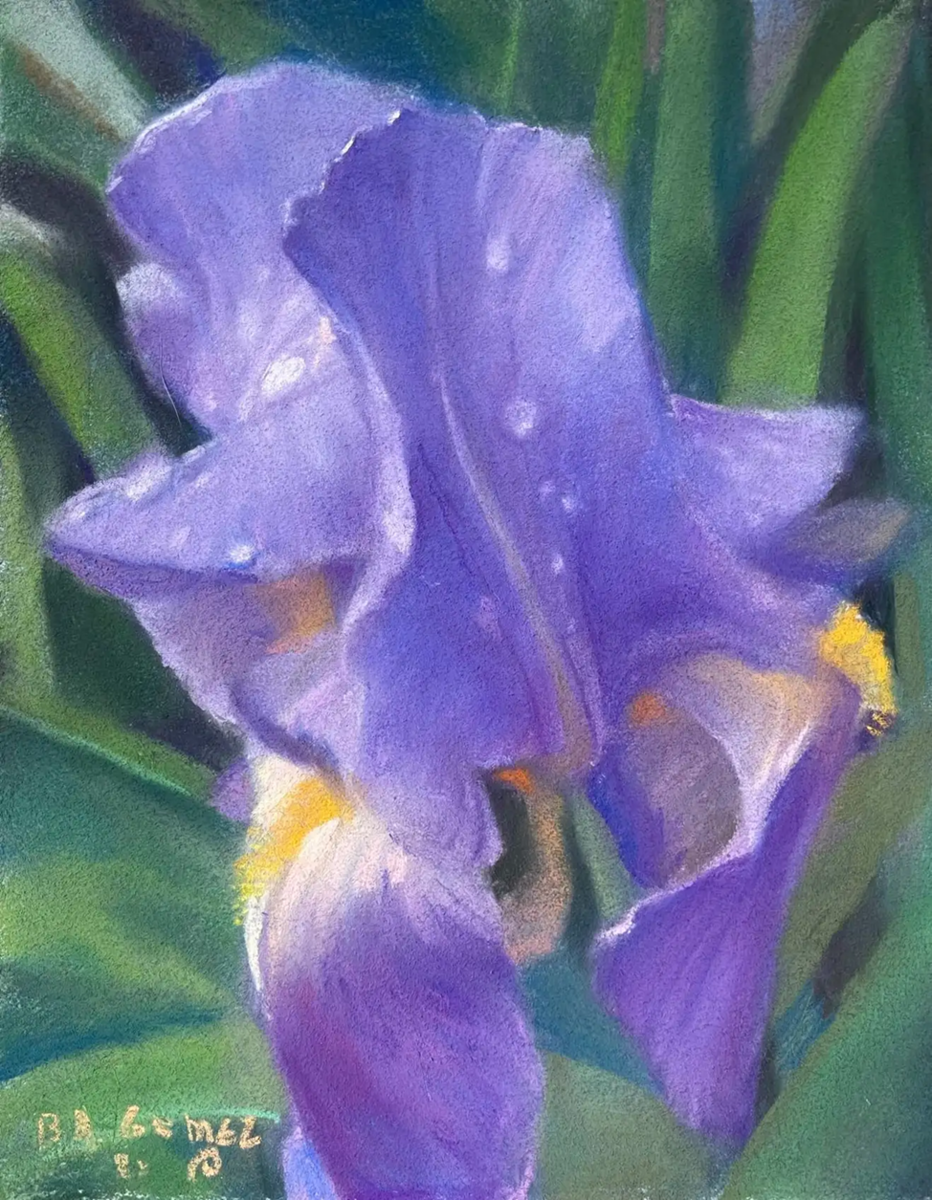 Bruce A Gómez. Весна Карен. Пастель. 10 х 8 дюймов                         https://abendgallery.com/art/sedona-sunflower-by-bruce-a-gomez