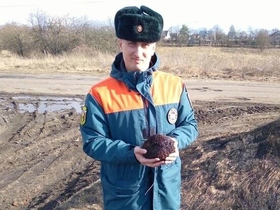     Фото: ГУ МЧС России по Курской области