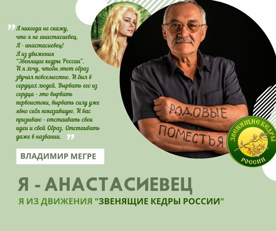 Звенящий кедр мегре