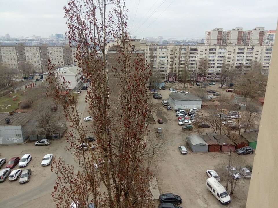     Фото Елены Федяшевой  из архива «КП»