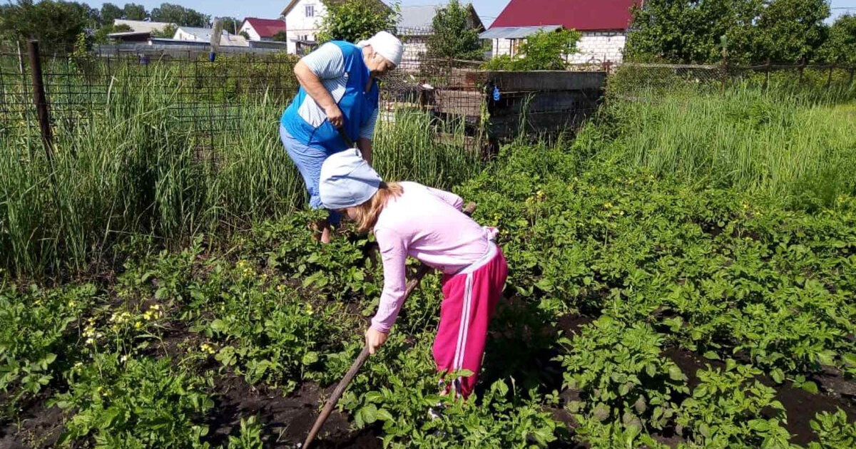 Прополешь грядки. Прополка огорода. Бабушка в огороде. Огород у бабушки в деревне. Полоть огород.