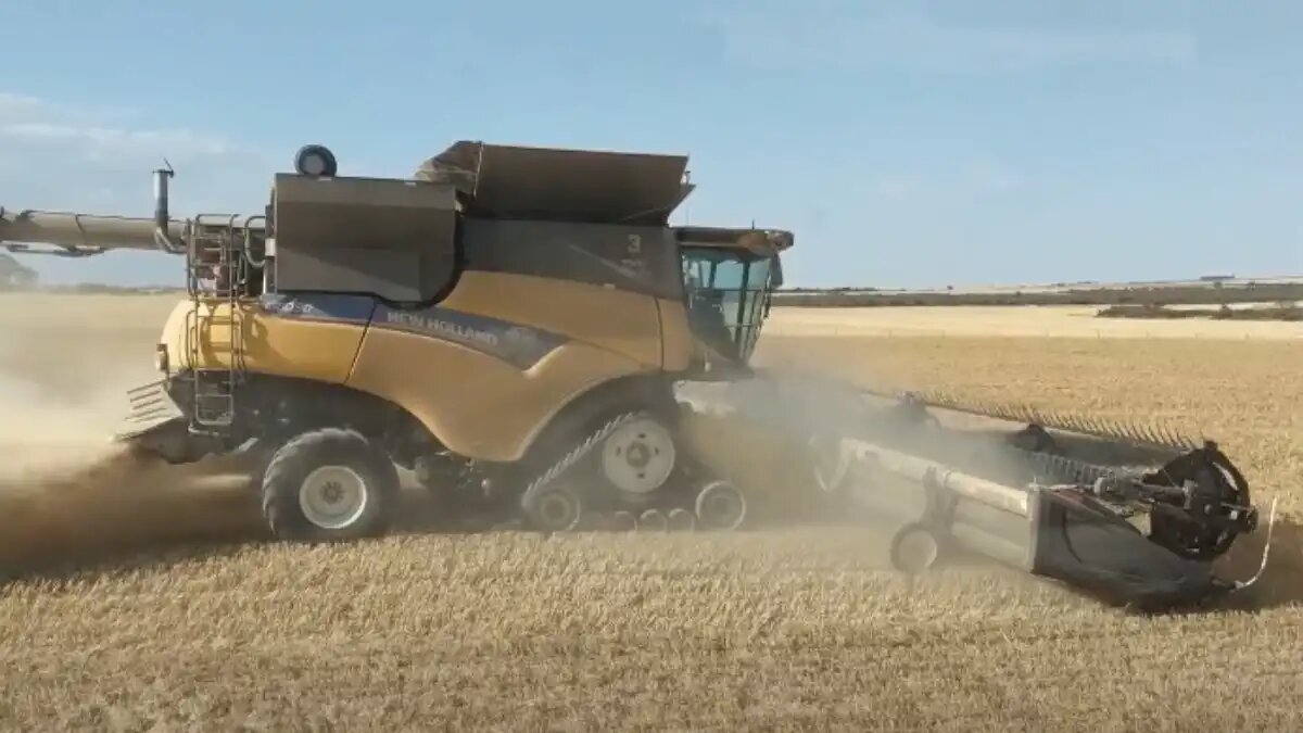 Фото: YouTube-канал Seed Terminator Зерноуборочный комбайн New Holland с технологией Seed Terminator Action