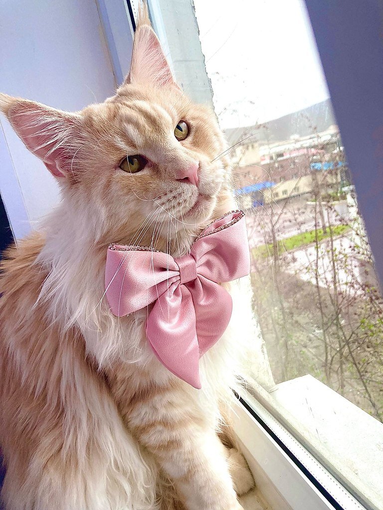 Источник: Яндекс картинки