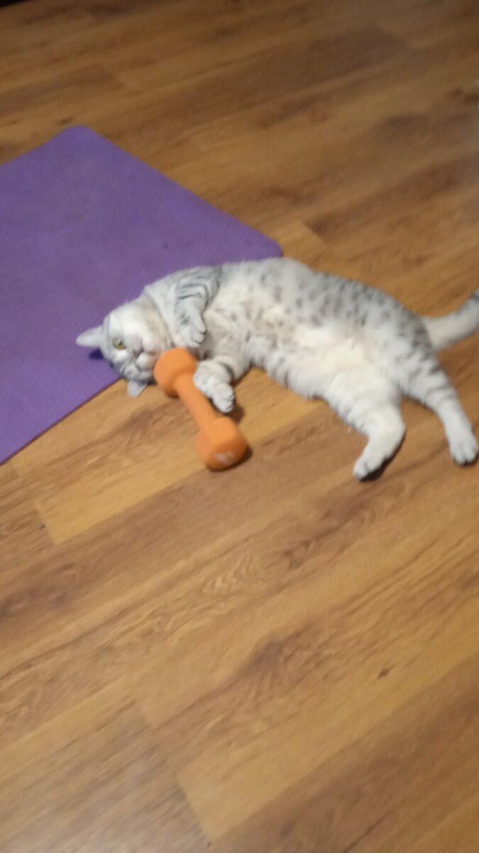 Фрося с утра