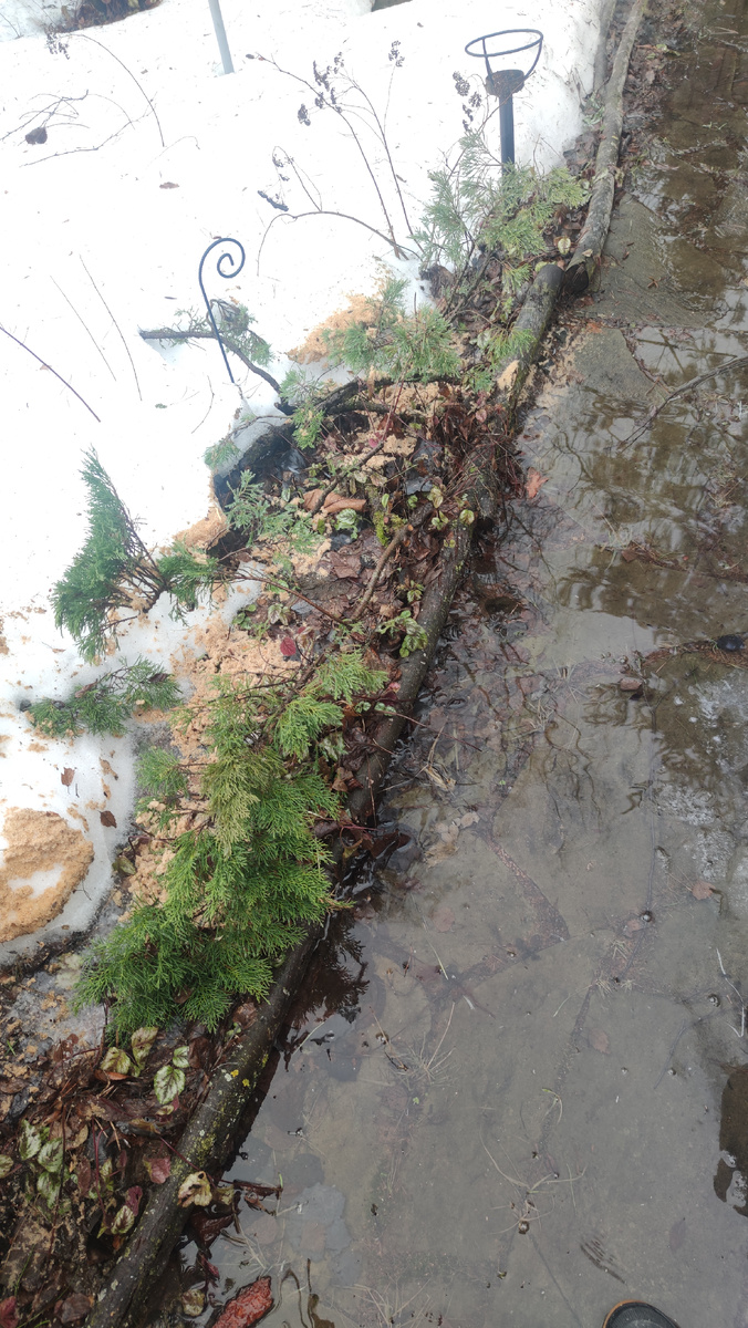 Прям болото