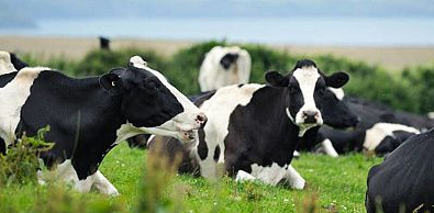 "взято из общего доступа"