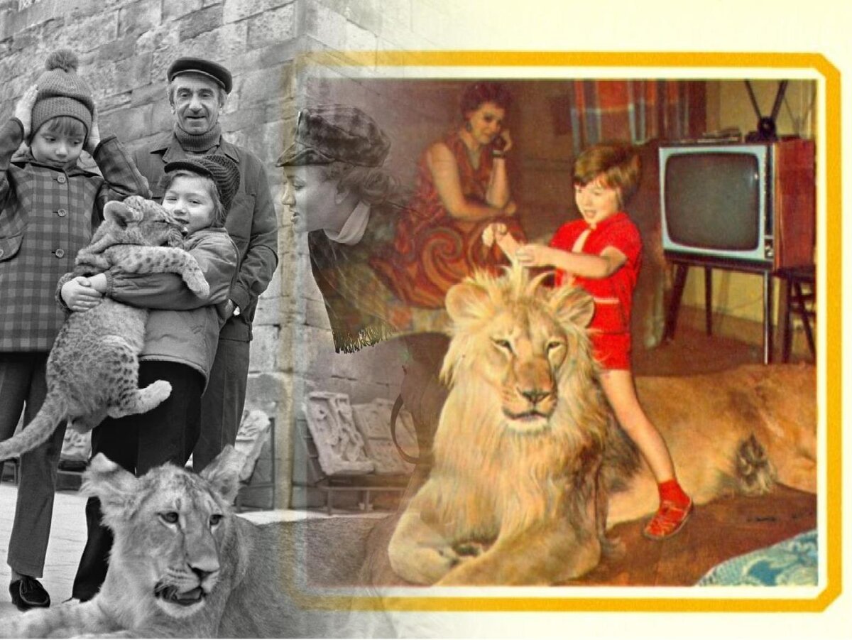 Берберовы и лев. Лев Кинг и семья Берберовых.
