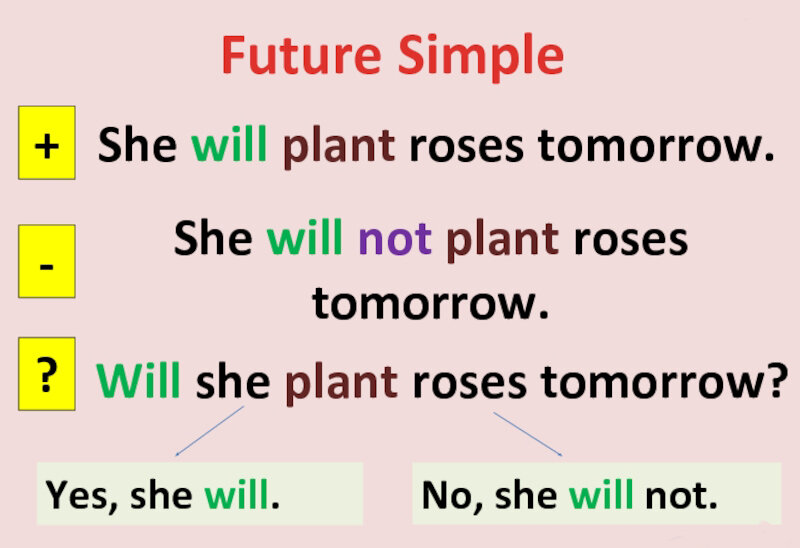 Употребление future simple