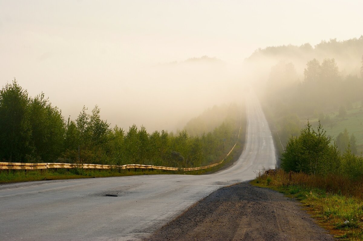 Источник фото: https://photocentra.ru/work/678007